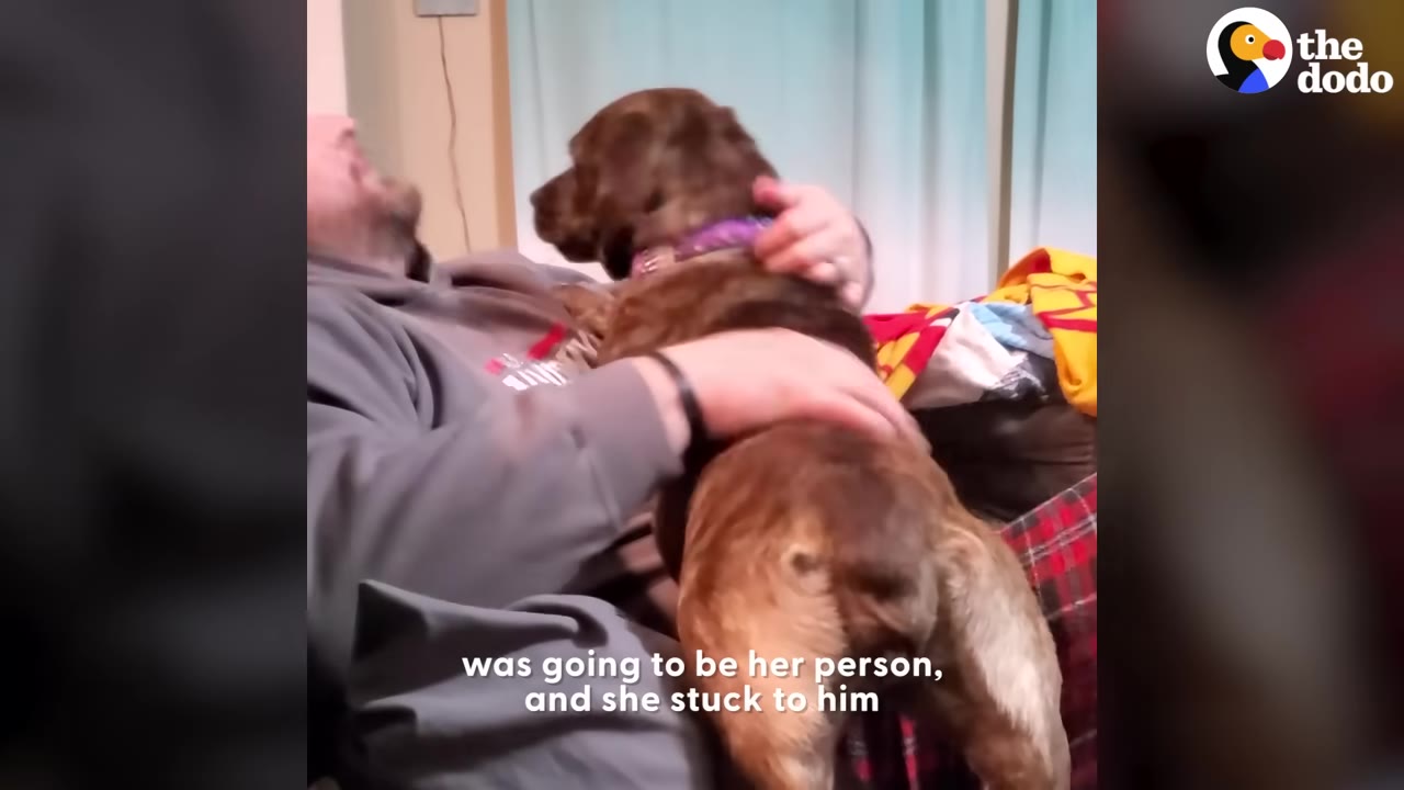 A brindle dog is held closely in the arms of a man sitting indoors, with the dog's back facing the camera as she clings to him.