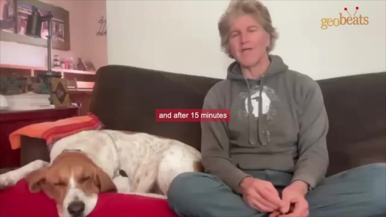 California Man Worried About A Former Laboratory Dog’s Behavior Until They Finally Sat Down Together
