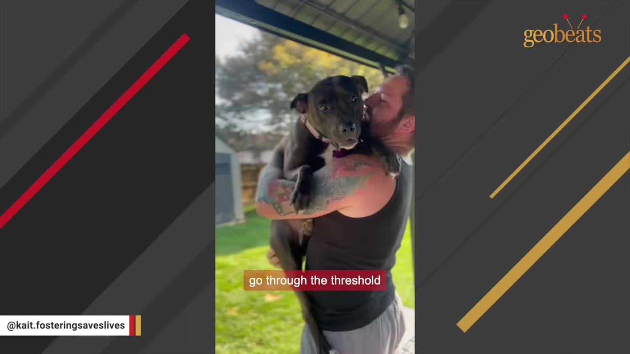 A man with tattoos on his arm carries a dark-colored dog in his arms near a doorway threshold.