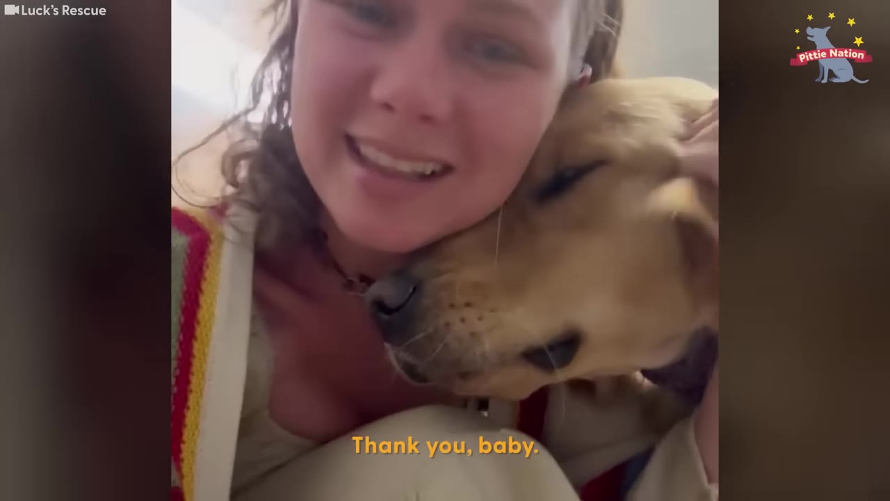A woman with curly hair smiles warmly as she hugs a Golden Retriever, who rests his head calmly against her cheek.