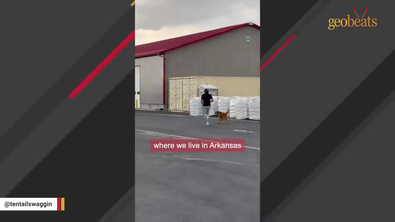 A person in a black shirt and grey pants runs with a golden retriever on a leash past a large warehouse building with a red roof.