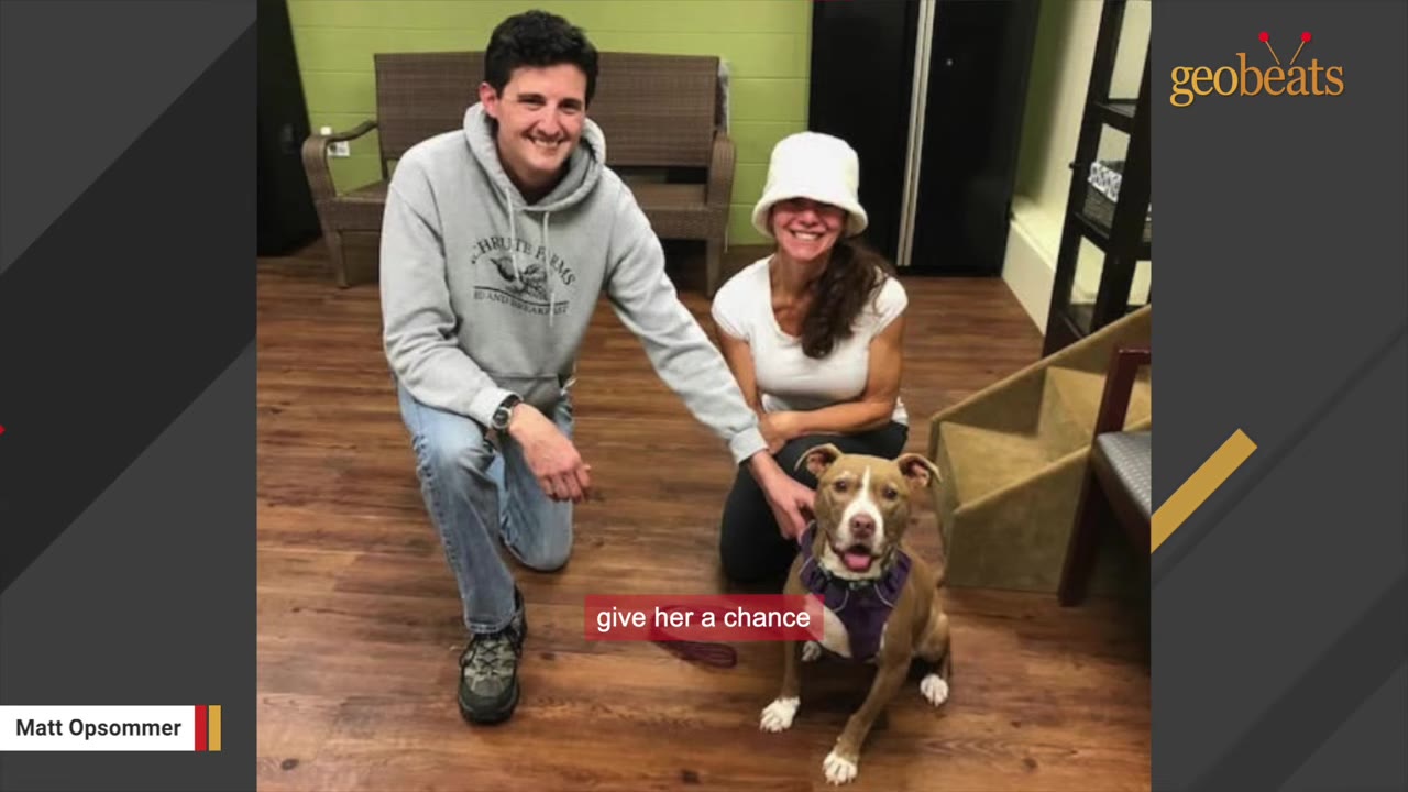 A smiling man in a grey hoodie and a smiling woman in a white hat kneel on a wooden floor next to a brown and white dog wearing a purple harness.