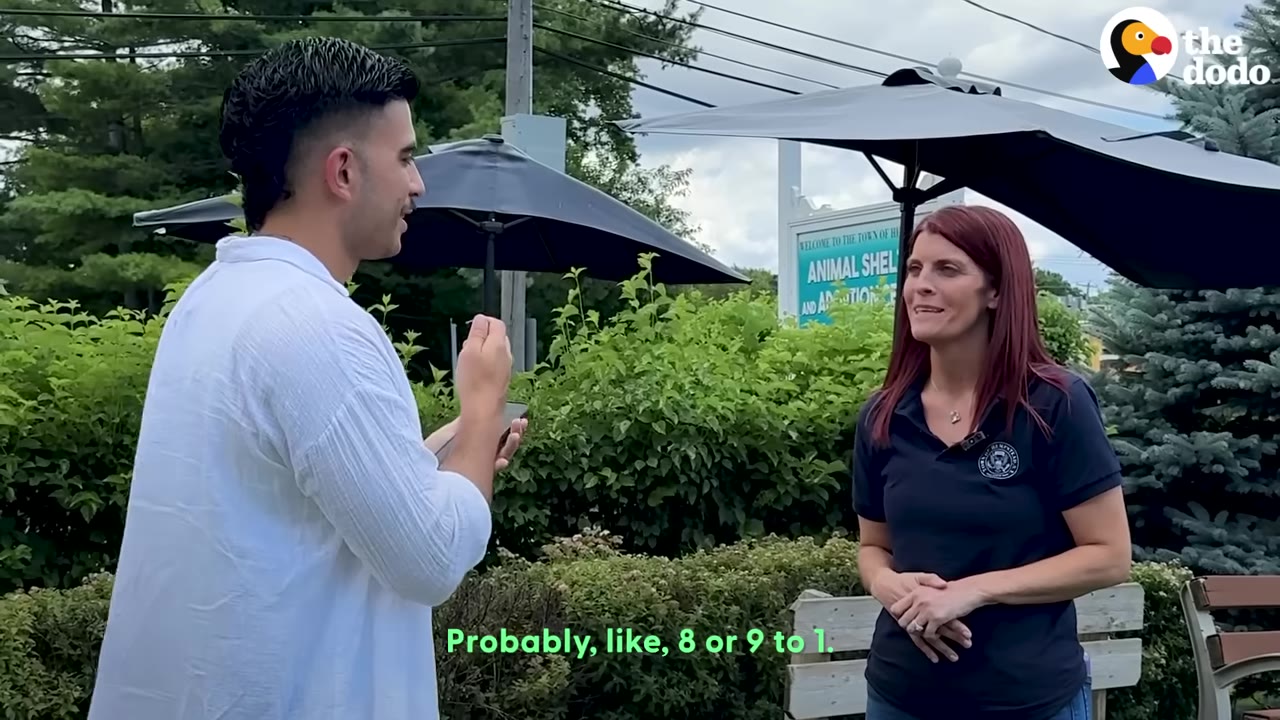 A man in a white shirt and a woman in a dark polo shirt stand outside an animal shelter, with the subtitle 'Probably, like, 8 or 9 to 1.' appearing at the bottom.
