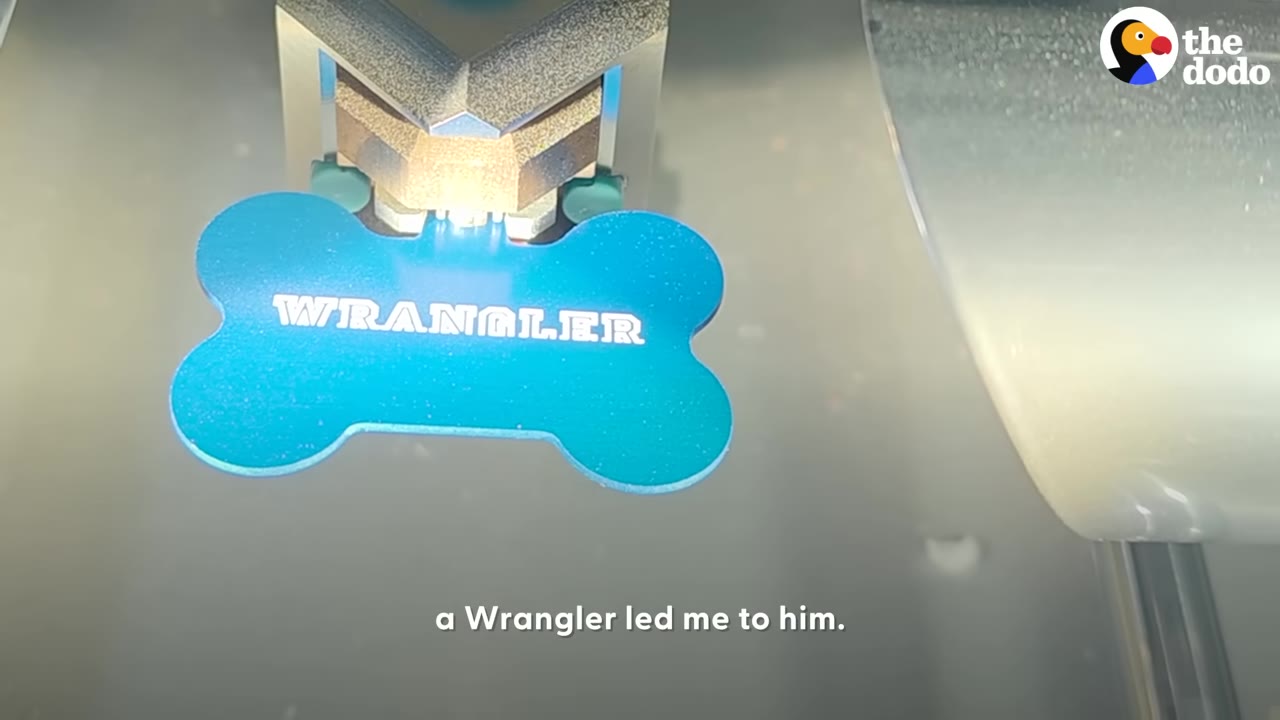 A blue bone-shaped dog tag being engraved with the name 'WRANGLER'.