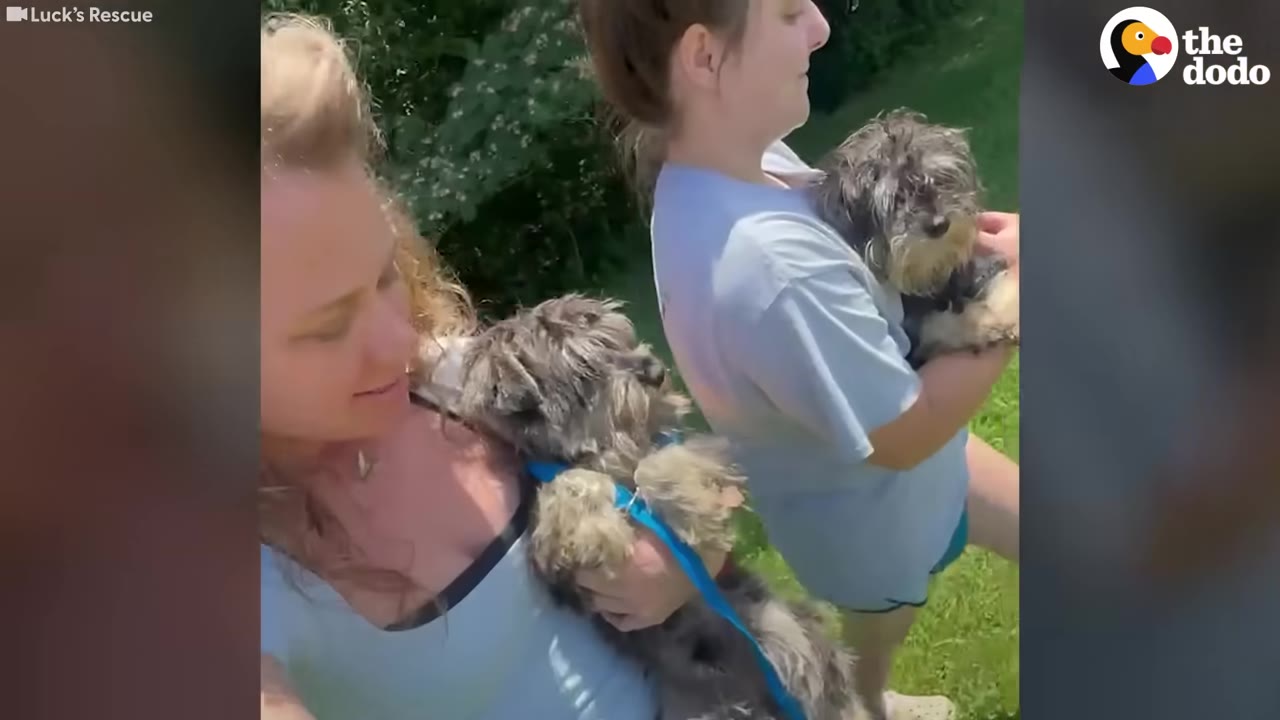 Two women standing outdoors, each holding a small, scruffy grey and black dog in their arms.