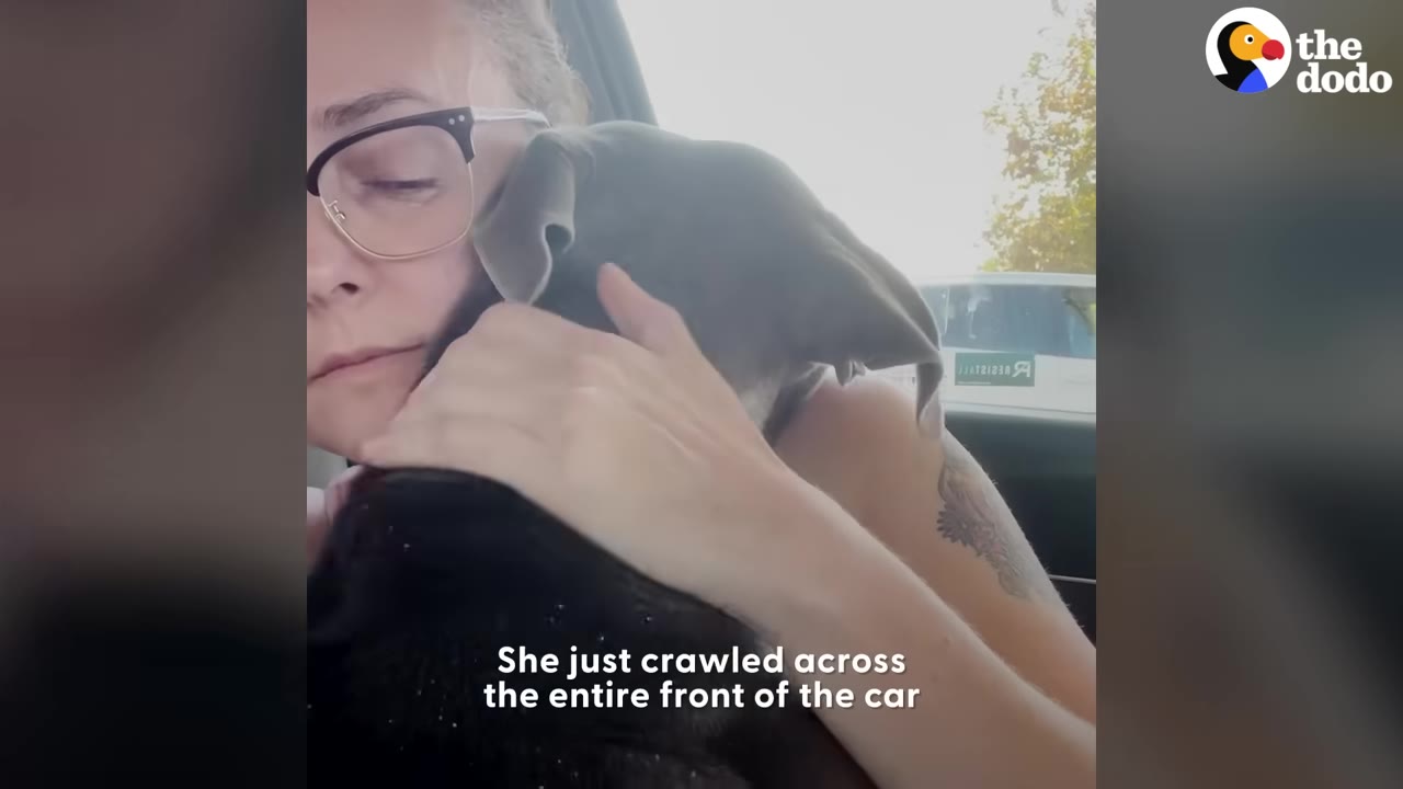 A woman wearing glasses hugs a grey dog close to her chest inside a car, with her eyes closed in relief.