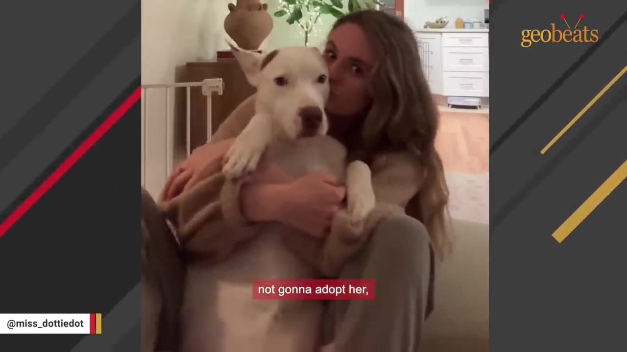 A woman with long brown hair holds a white dog with a brown patch over its eye in her lap, kissing its cheek.