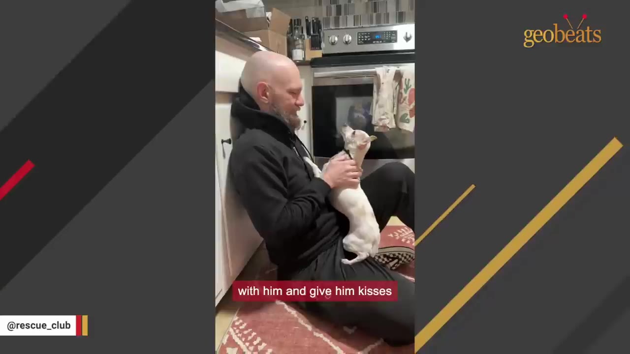 A bald man sitting on a kitchen floor smiles as a small white dog stands on his lap and looks up at him.