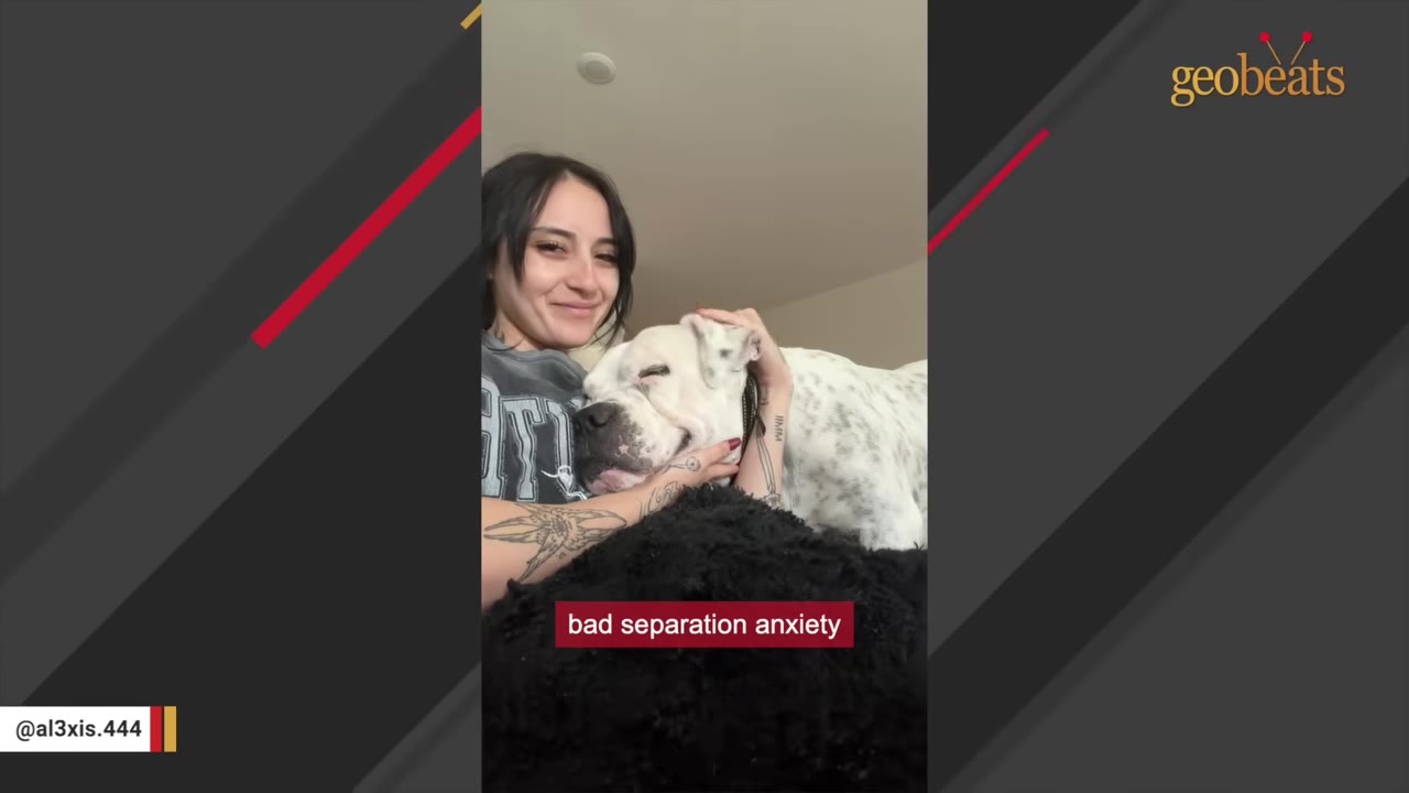 A smiling woman with tattoos cuddles a white dog with black spots, who is resting his head on her chest, with a caption reading 'bad separation anxiety'.