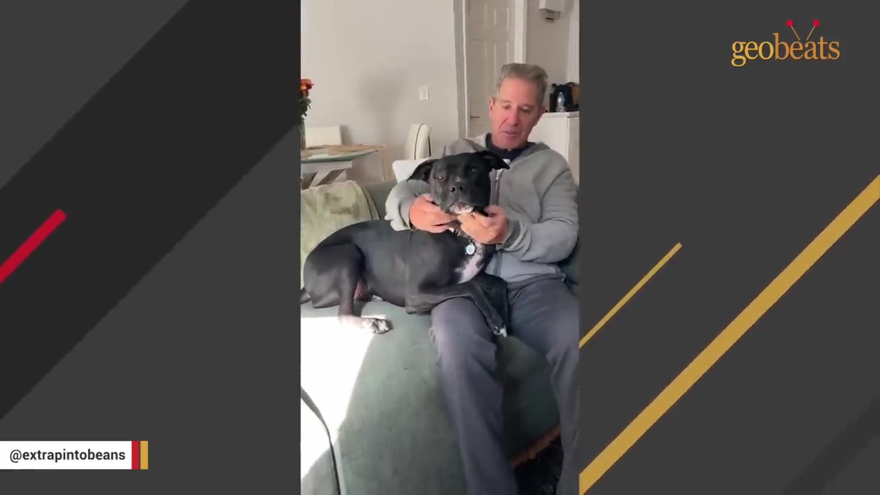 A man sitting on a couch gently cradling the head of a black dog sitting in his lap.