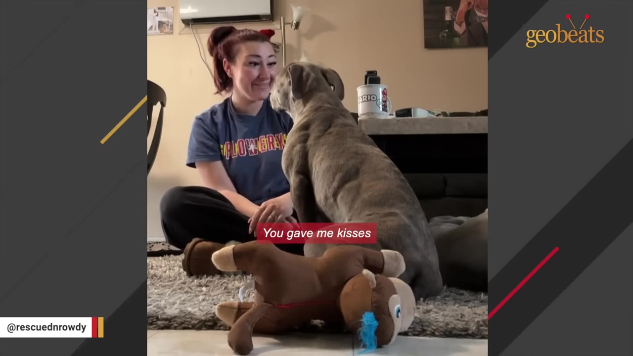 A woman sitting cross-legged on a rug smiles warmly at a grey dog sitting directly in front of her.
