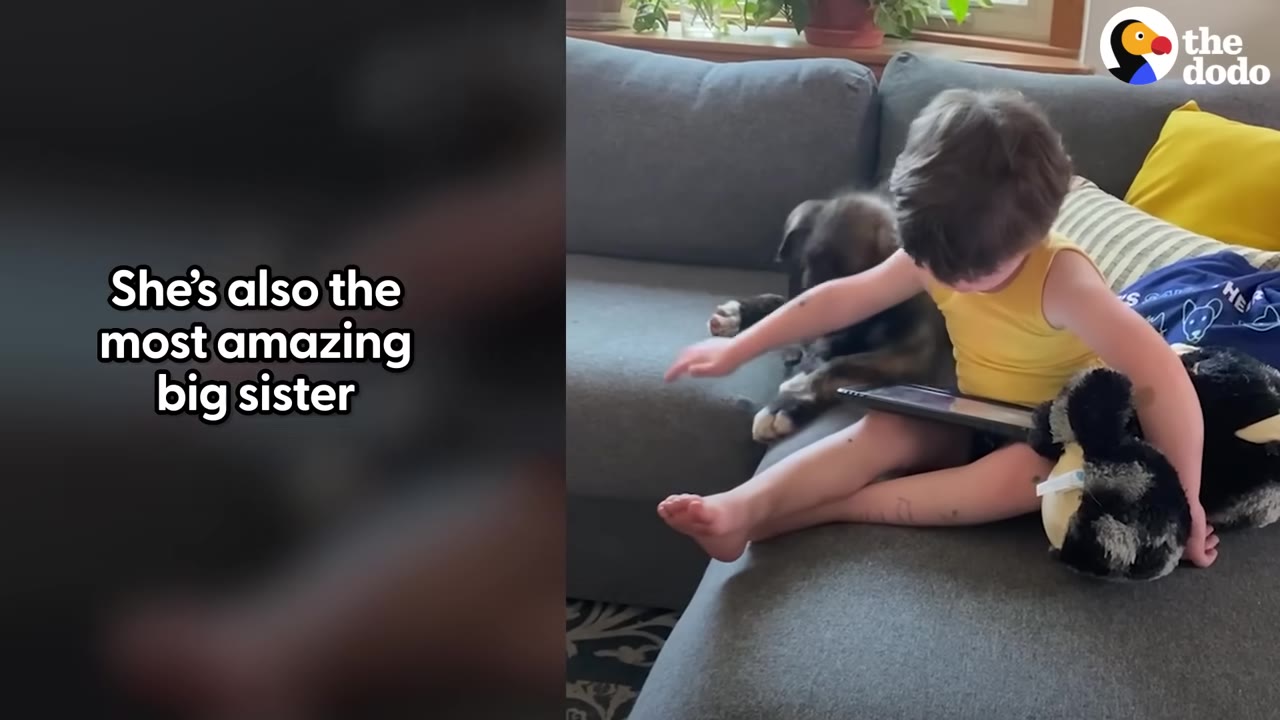 A young boy in a yellow tank top sits on a grey couch holding a stuffed animal, while a dog sits beside him.