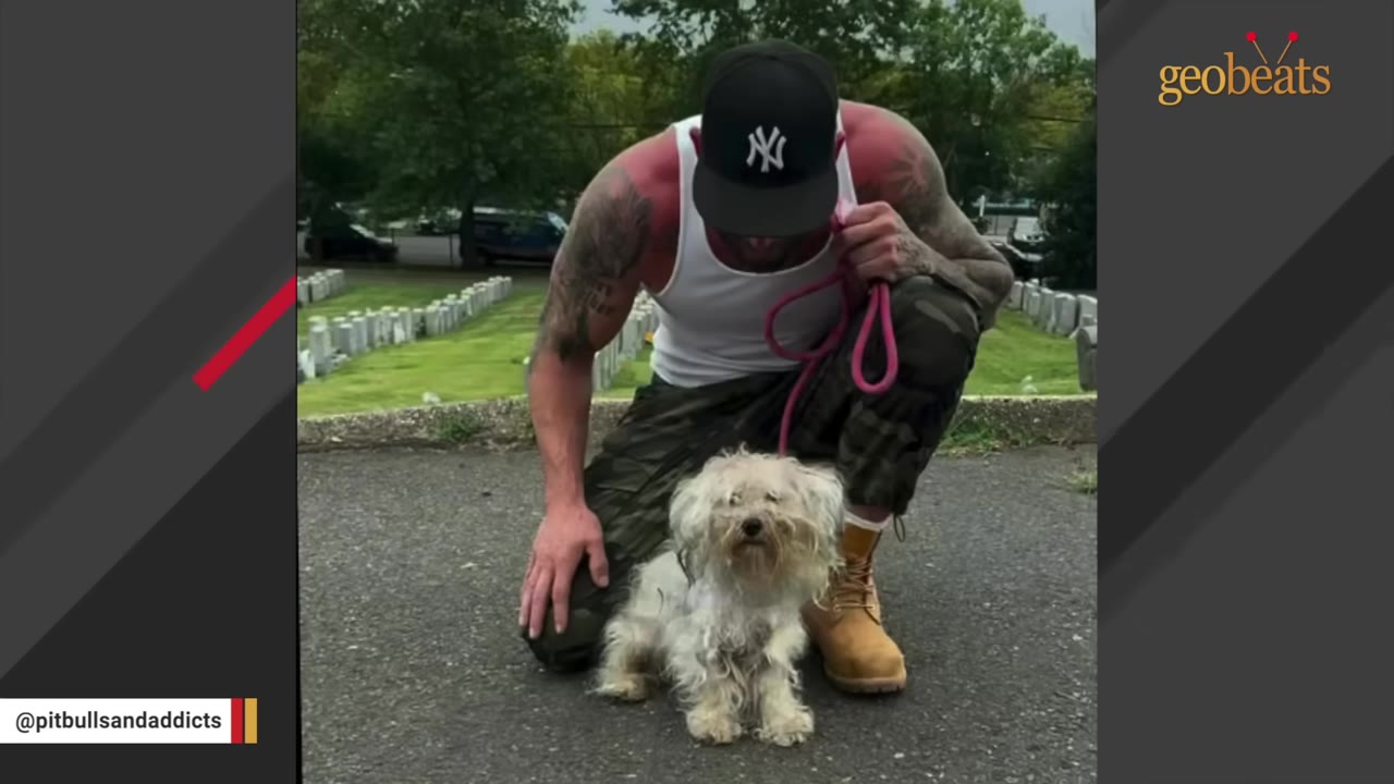 A man with tattoos, wearing a white tank top, camouflage pants, and a black baseball cap, kneels on an asphalt path next to a small, fluffy white dog on a pink leash.