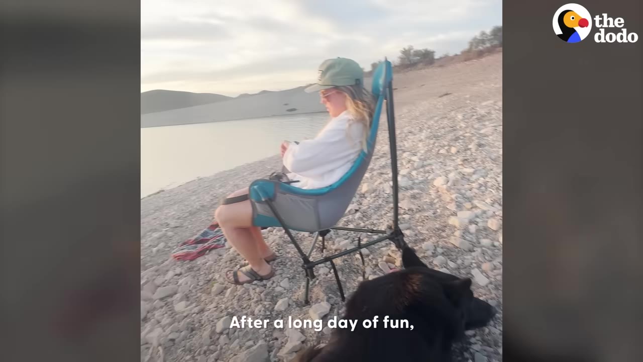 A woman wearing a cap sits in a blue camping chair on a rocky shore next to a body of water, with a black dog resting on the ground in the foreground.