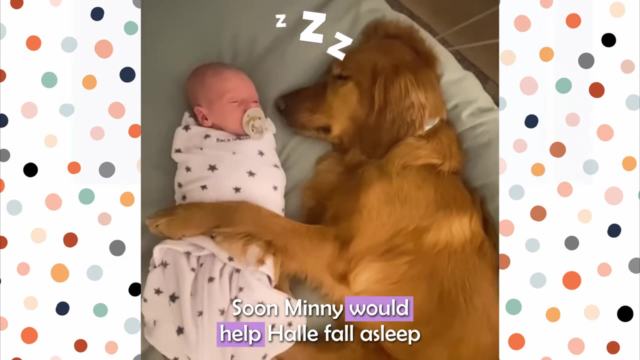 A golden retriever lies next to a swaddled newborn baby, gently resting its paw over the baby's chest as they both rest.