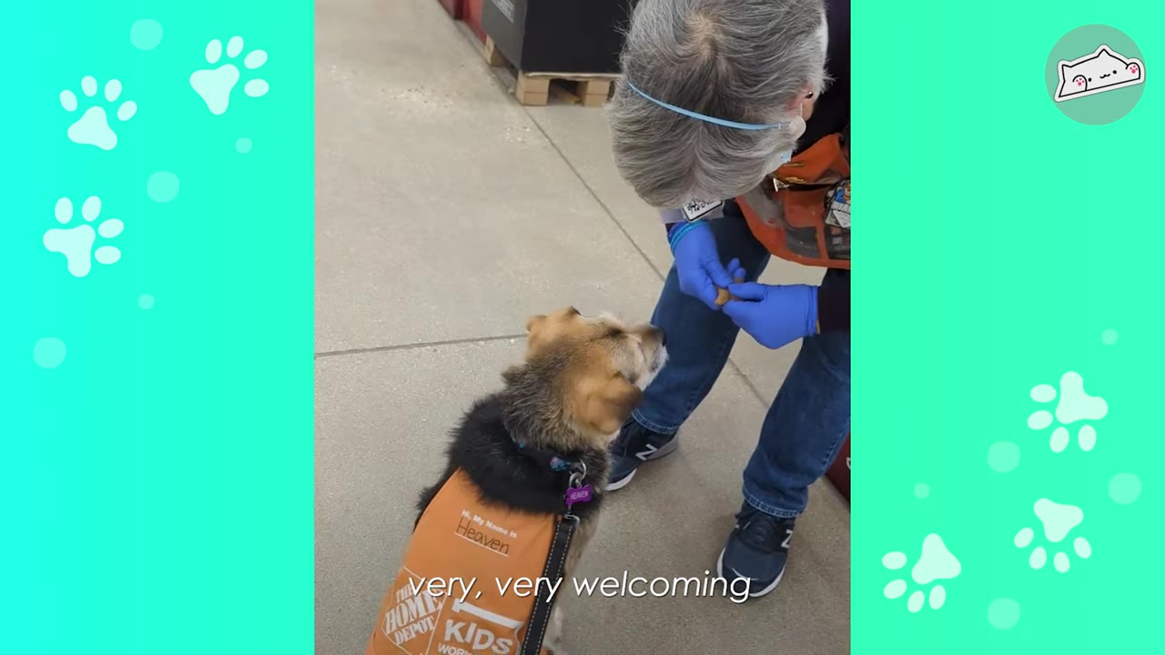 A dog wearing an orange Home Depot apron sits patiently while a store employee in blue gloves offers a treat.