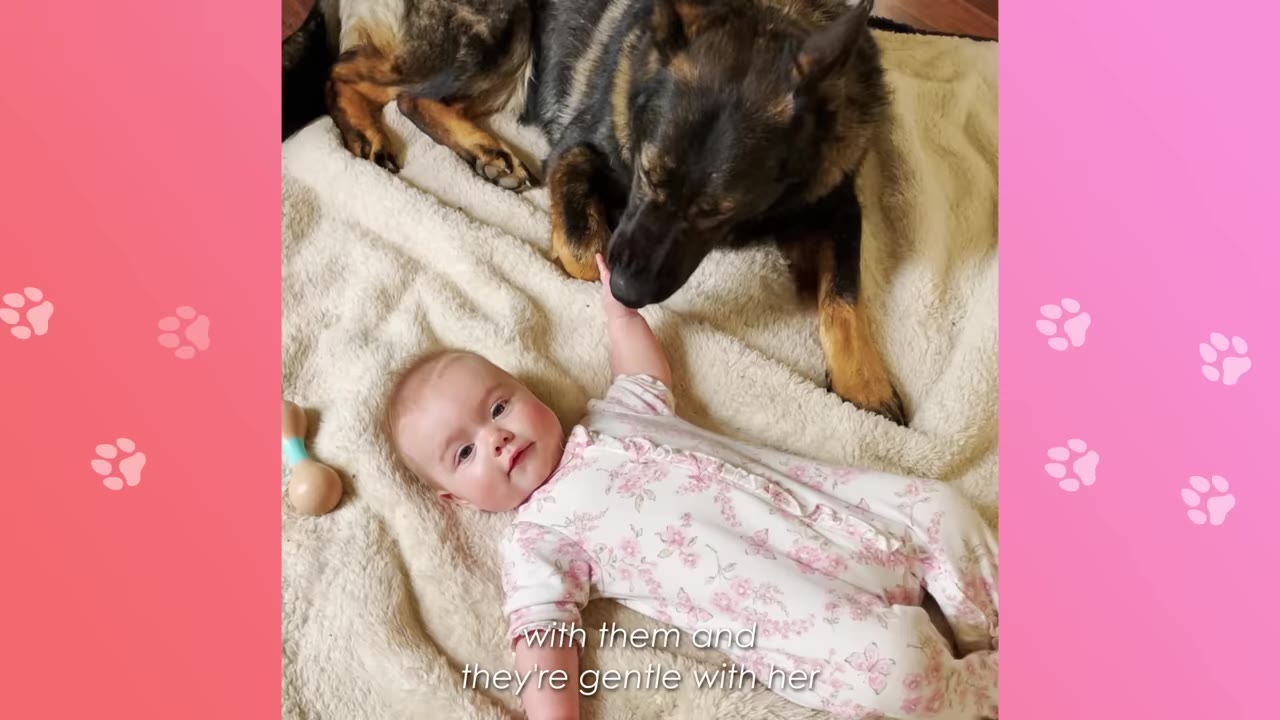 A baby in a floral-patterned onesie lies on a soft blanket, reaching up to touch the nose of a large German Shepherd dog lying beside her.