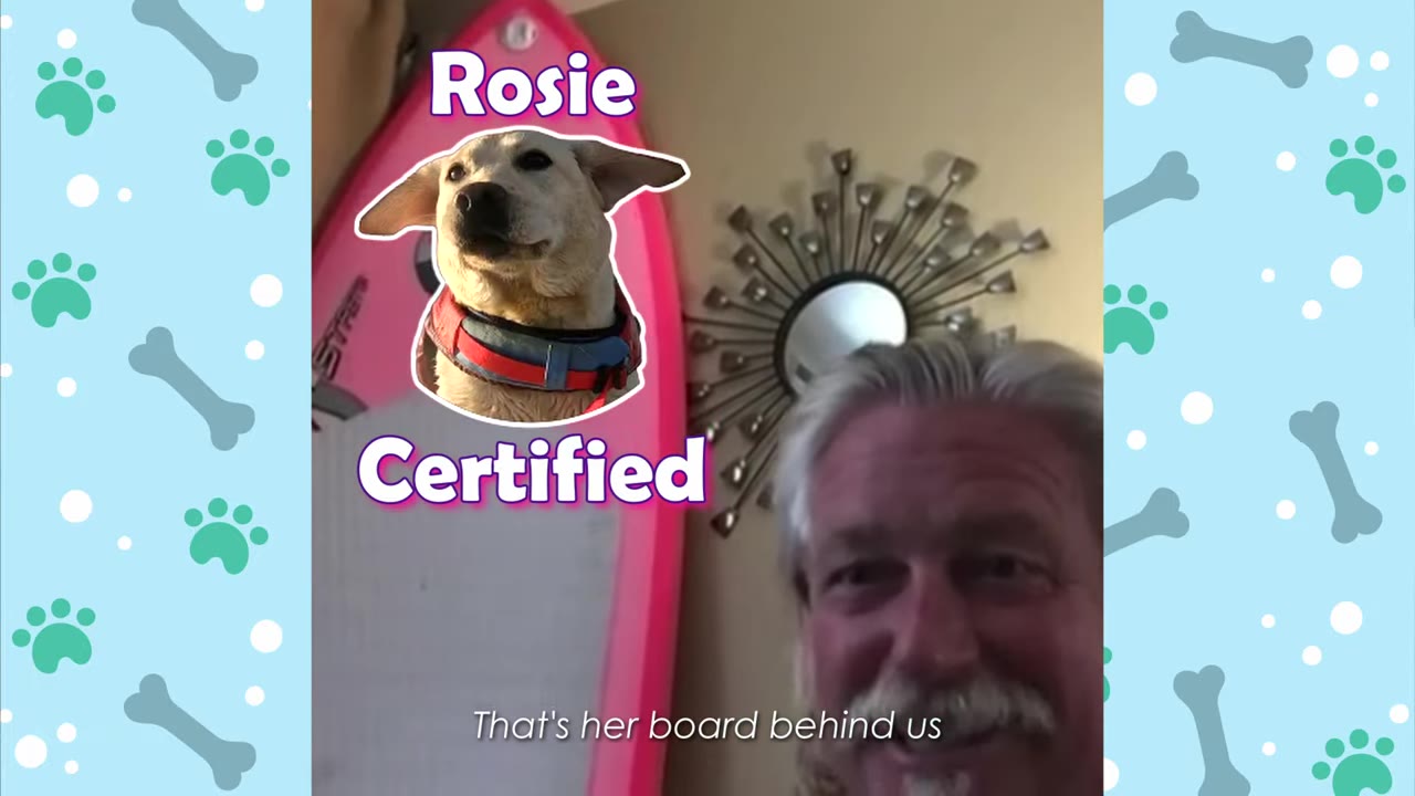 A man stands in front of a pink surfboard mounted on a wall inside a house, with a graphic of a dog named Rosie overlaid on the image.