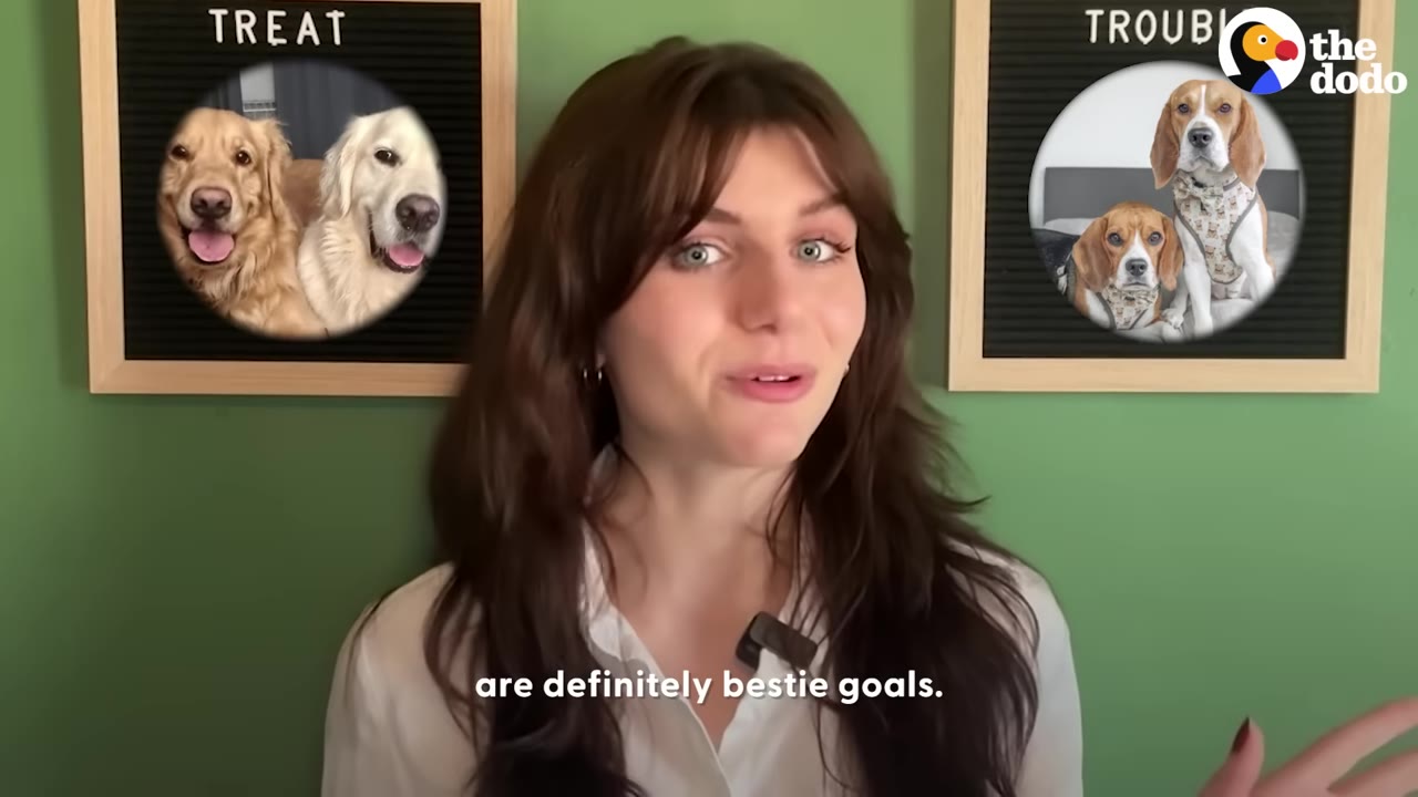 A woman stands in front of a green wall with two framed letterboards behind her; the left board features a circular photo of two golden retrievers under the word 'TREAT', and the right board features a circular photo of two beagles under the word 'TROUBLE'.
