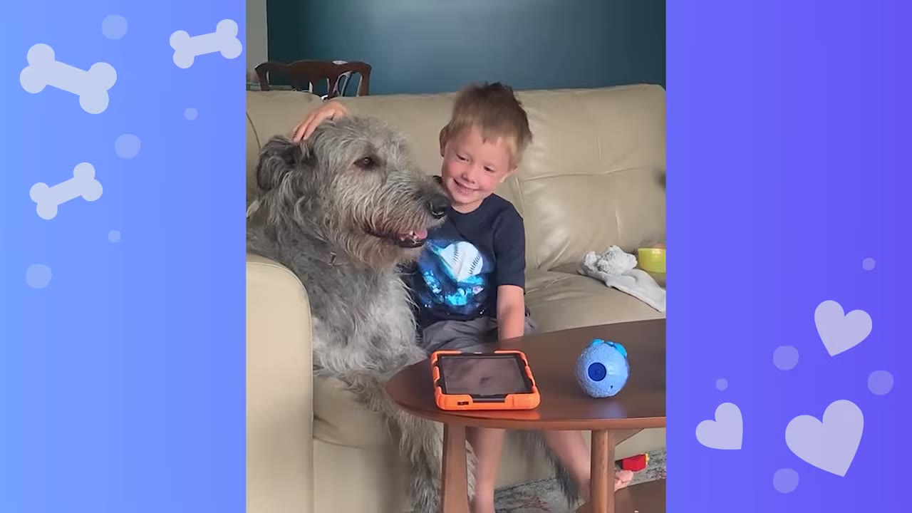 A young boy sits on a beige couch next to a large, grey Irish Wolfhound, smiling as he gently pets the dog's head.