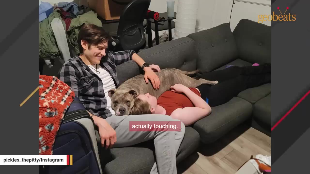 A smiling man in a plaid shirt sits on a grey couch next to a woman lying down, with a brindle dog resting its head on her chest.