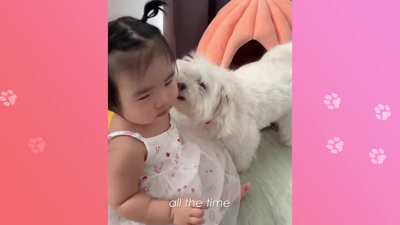 A small white dog gently sniffs the cheek of a young toddler wearing a white dress with red flowers.