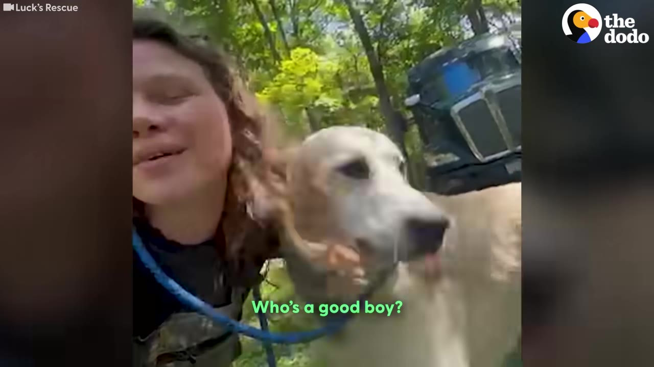 A smiling woman stands next to a light-colored dog on a blue leash, gently petting him outdoors.