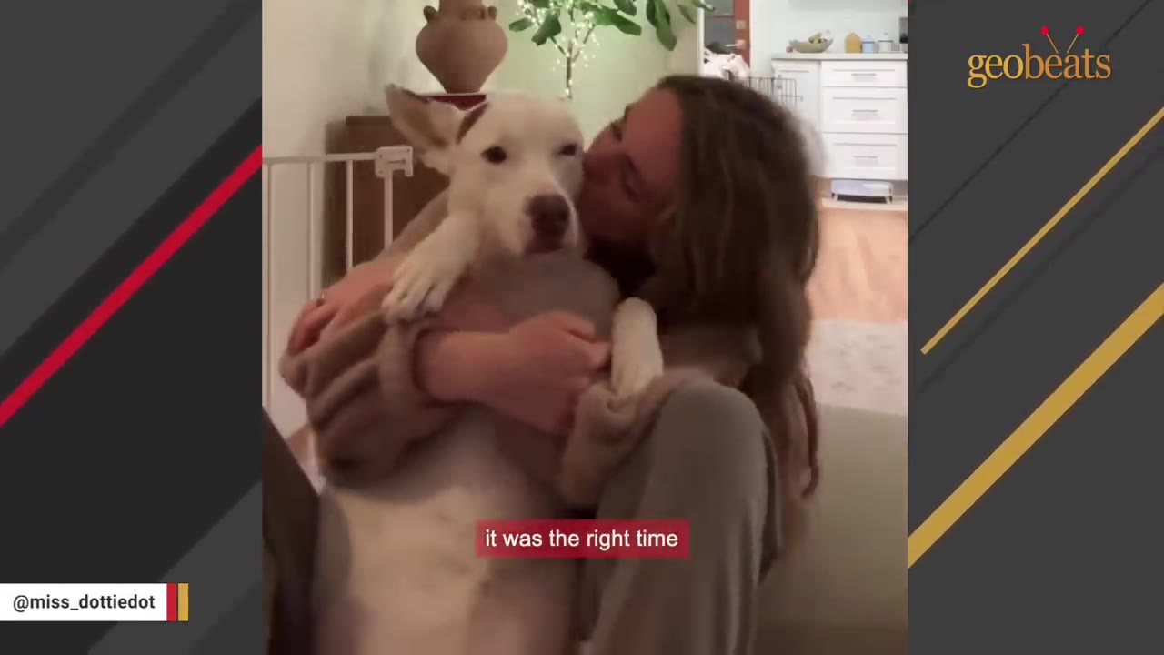 A woman with long brown hair hugs a white dog with a brown patch on its ear, holding it close to her chest.