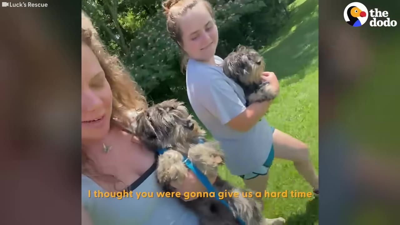 Two women walking outdoors on a grassy lawn, each holding a small, scruffy, dark-furred dog in her arms.