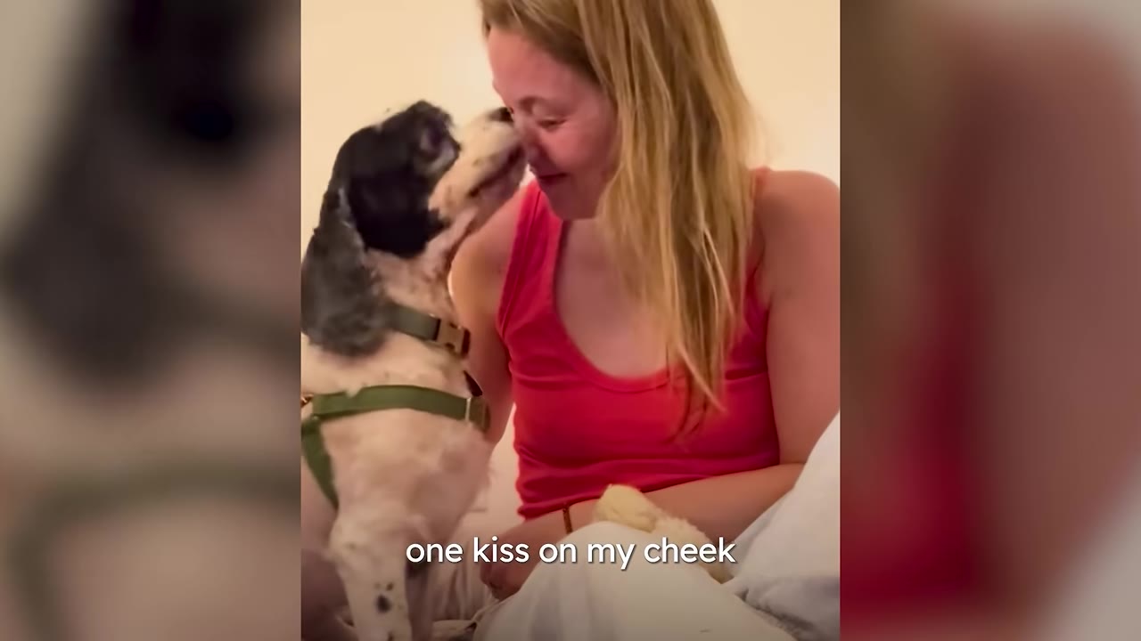 A black and white cocker spaniel dog leans in to give a kiss on the cheek of a smiling woman wearing a pink tank top.