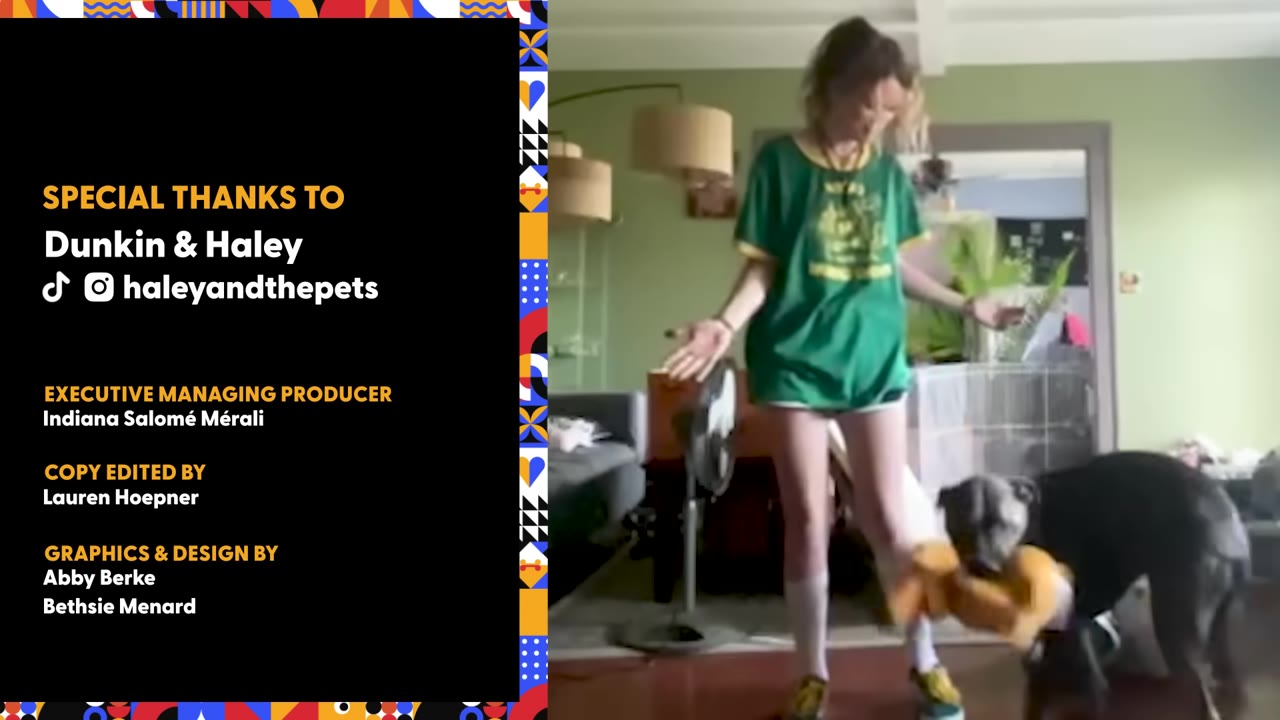 A dark-colored dog holds a plush yellow toy in its mouth while standing next to a person in a green t-shirt.
