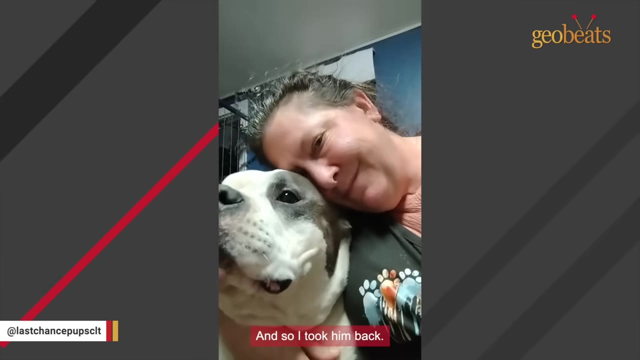 A smiling woman rests her head against a grey and white dog's head in a close-up shot.
