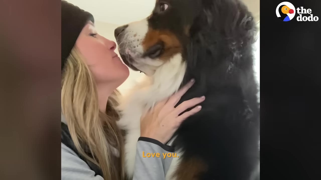 A close-up shot of a woman wearing a black beanie kissing a Bernese Mountain Dog on the nose.
