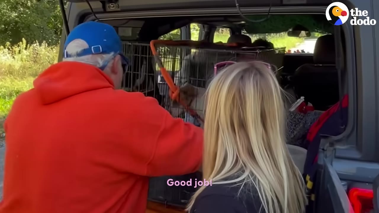 A man in a red hoodie and blue cap and a blonde woman look into the open back of a Jeep where a dog is inside a wire crate.