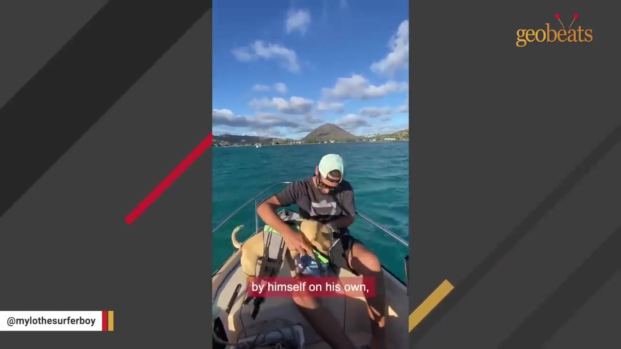 A man on a boat in the ocean fastening a life jacket onto a small tan dog.