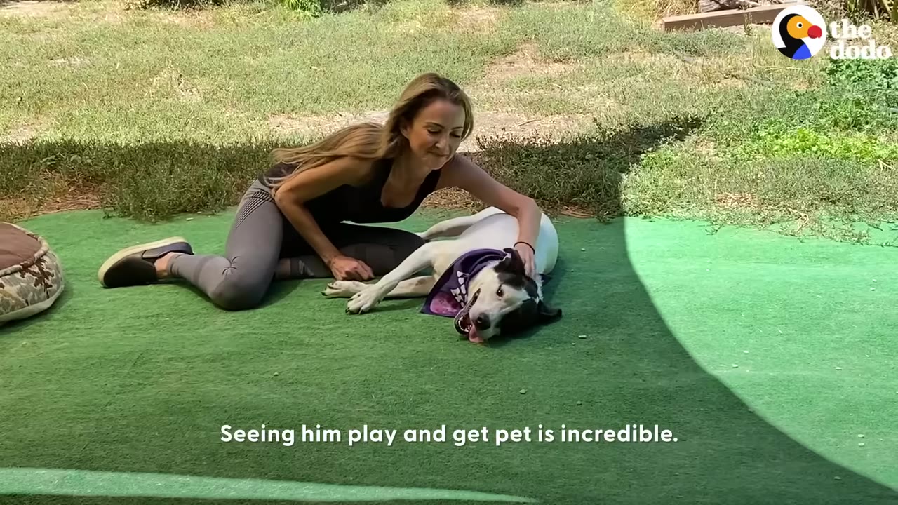 A woman with long blonde hair sits on a green outdoor mat, smiling as she pets a black and white dog lying down beside her.
