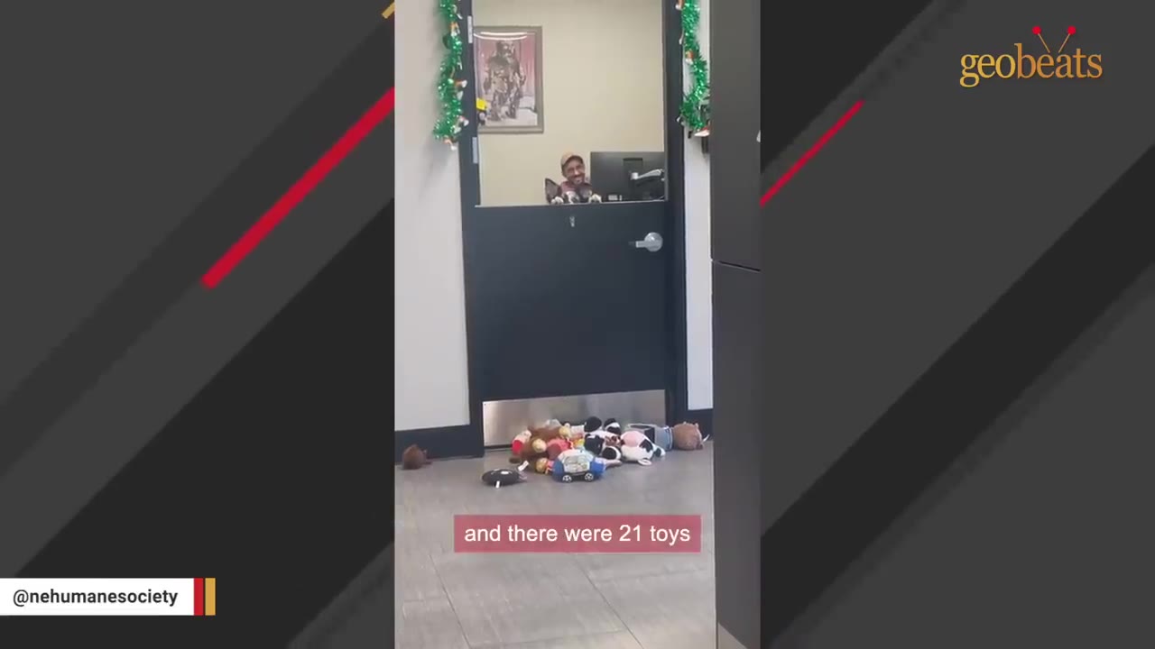A pile of colorful plush dog toys lies on the floor outside an office door, while a man smiles through the door's window.