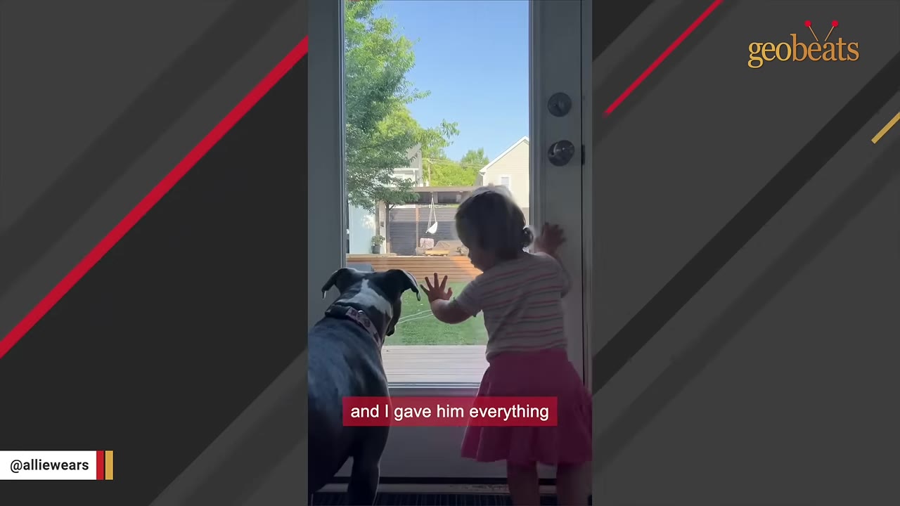 A young girl in a pink skirt and striped shirt stands next to a black and white dog, both looking out of a glass door, with a red subtitle reading 'and I gave him everything'.