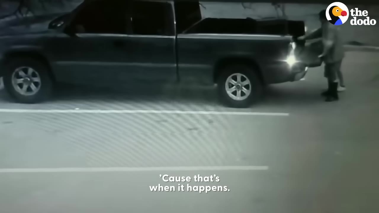 A dark pickup truck parked in a lot at night with a person standing at the open tailgate, captured on a security camera.