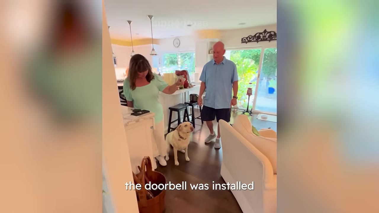 A woman in a light green shirt and a man in a blue shirt stand in a kitchen with a yellow Labrador retriever looking up attentively.