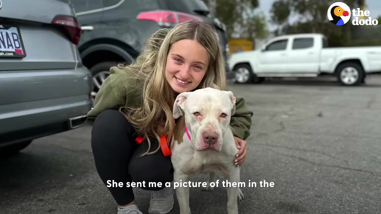 A young woman with long blonde hair smiles as she crouches next to a white pit bull in a parking lot.