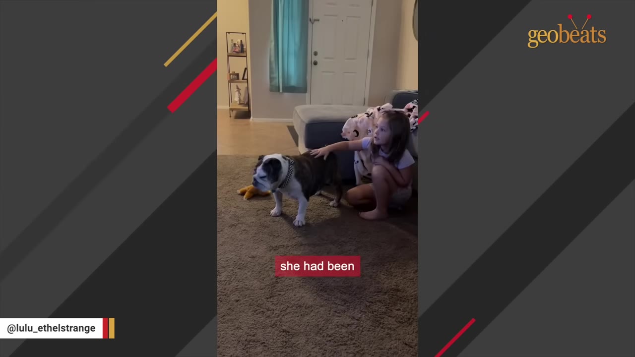 A young girl sits on the carpeted floor of a living room, gently petting a brindle and white bulldog standing beside her.