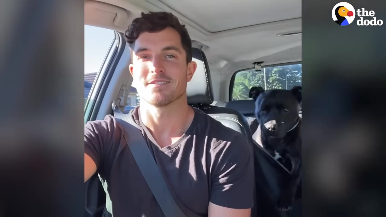 A man in a black t-shirt sits in the driver's seat of a car, smiling at the camera, while a black dog sits in the back seat behind him.