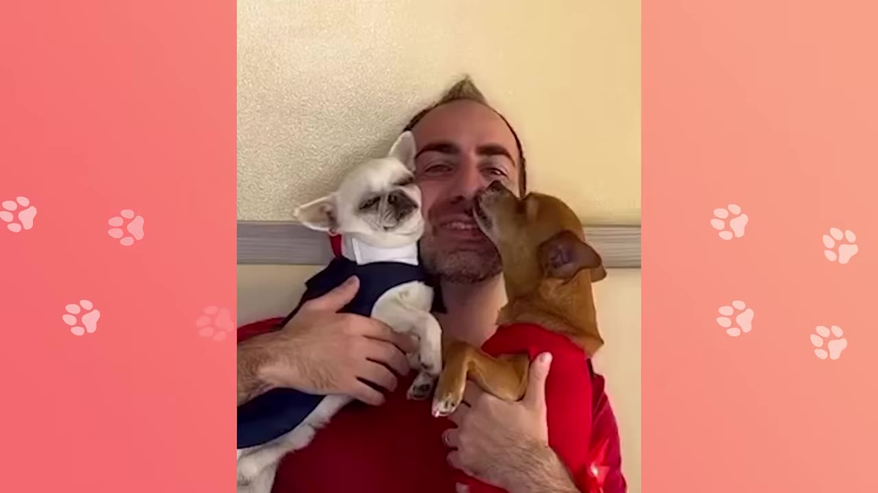 A man smiling as he holds two small dogs close to him, with one brown dog licking his cheek and a white dog wearing a blue vest resting in his other arm.