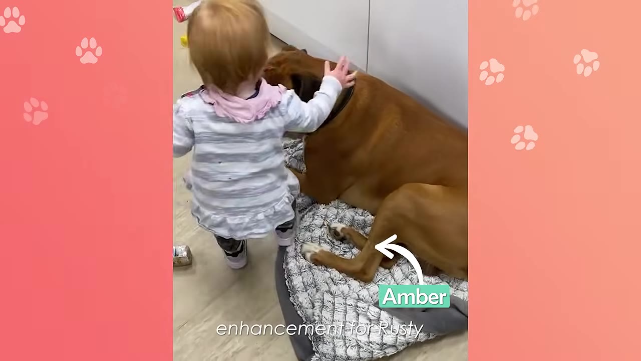 A young toddler girl in a striped shirt gently pats a large brown dog resting on a dog bed.