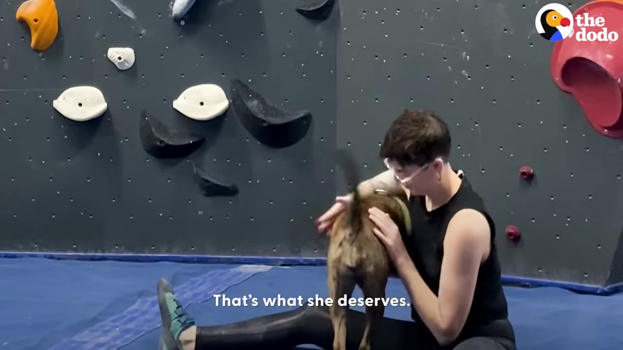 A person with short dark hair and glasses sits on a blue mat in front of a climbing wall, petting a brindle dog.