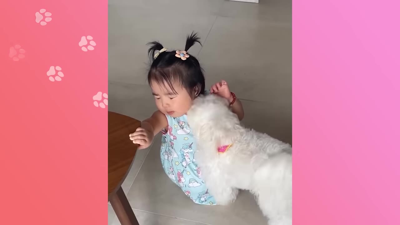 A toddler girl with pigtails wearing a blue dress sits on the floor next to a wooden table while a small white dog sniffs her neck.