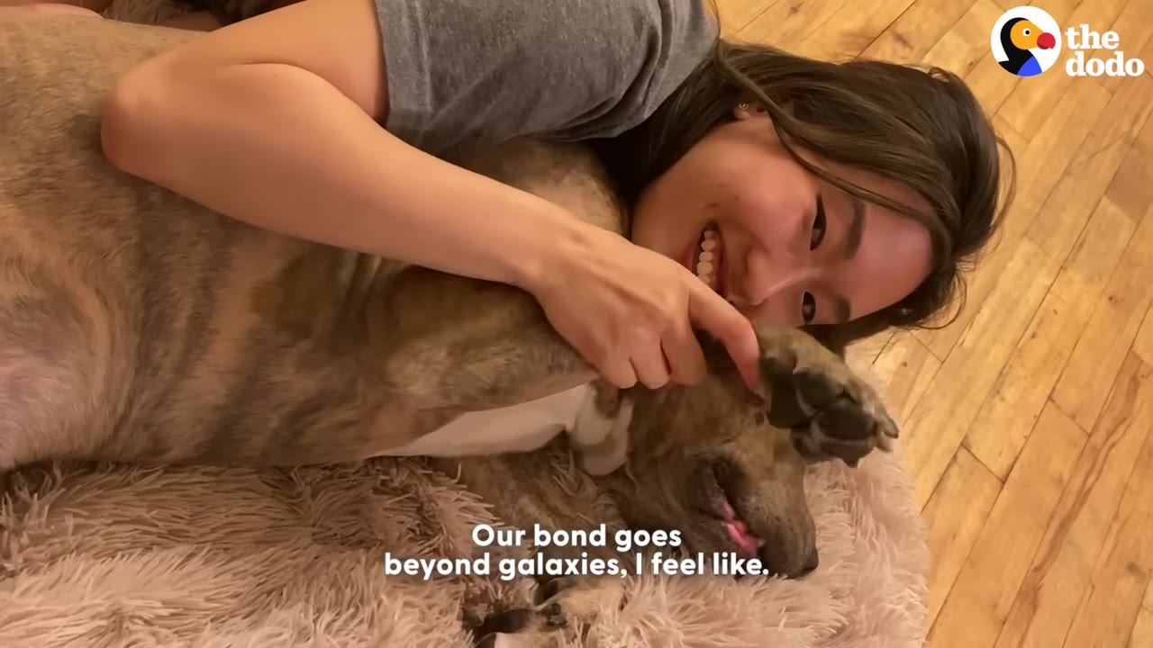 A smiling woman lies on a wooden floor next to a fluffy dog bed, hugging a brindle dog who is lying on its back with its paw up.