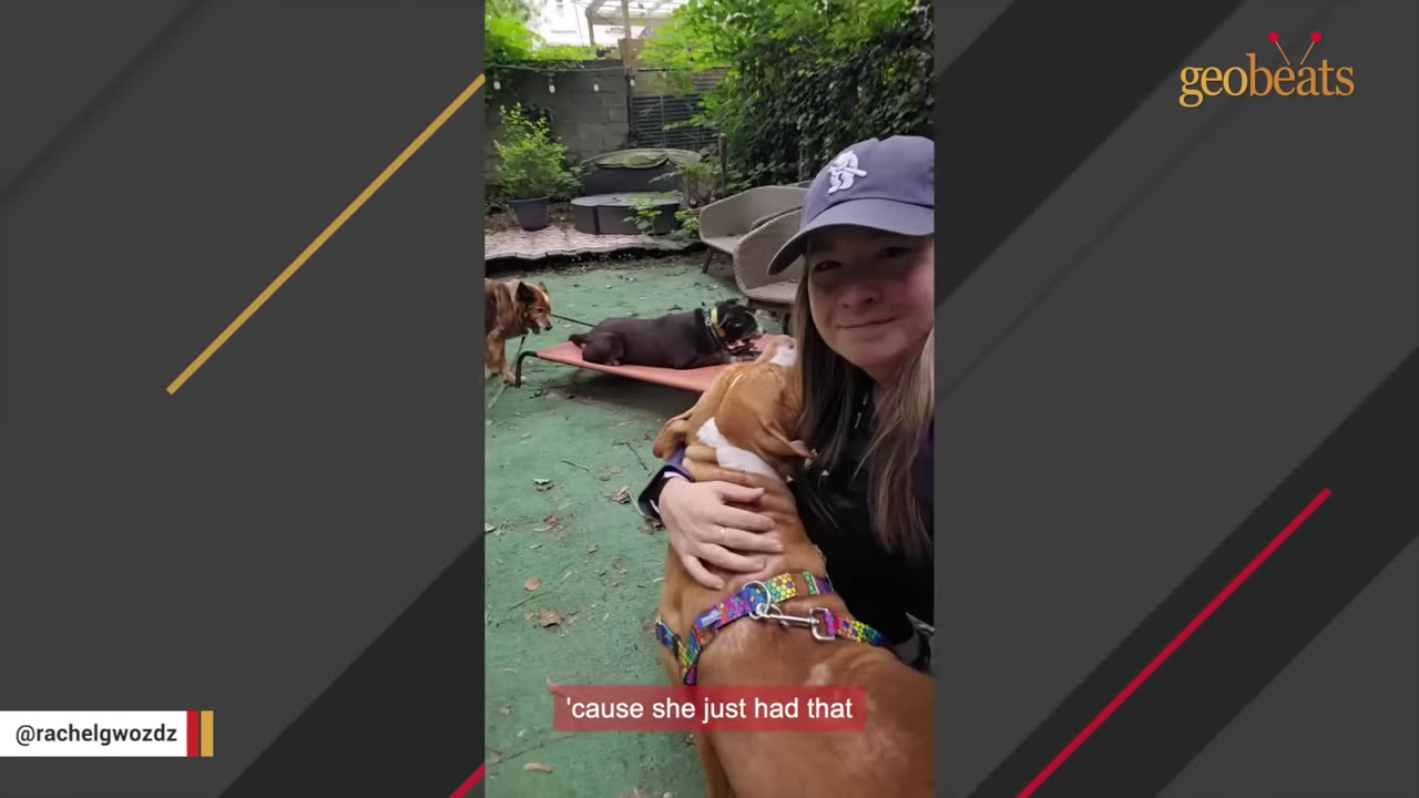 A woman wearing a baseball cap smiles at the camera while gently hugging a brown and white dog wearing a colorful collar in an outdoor yard.