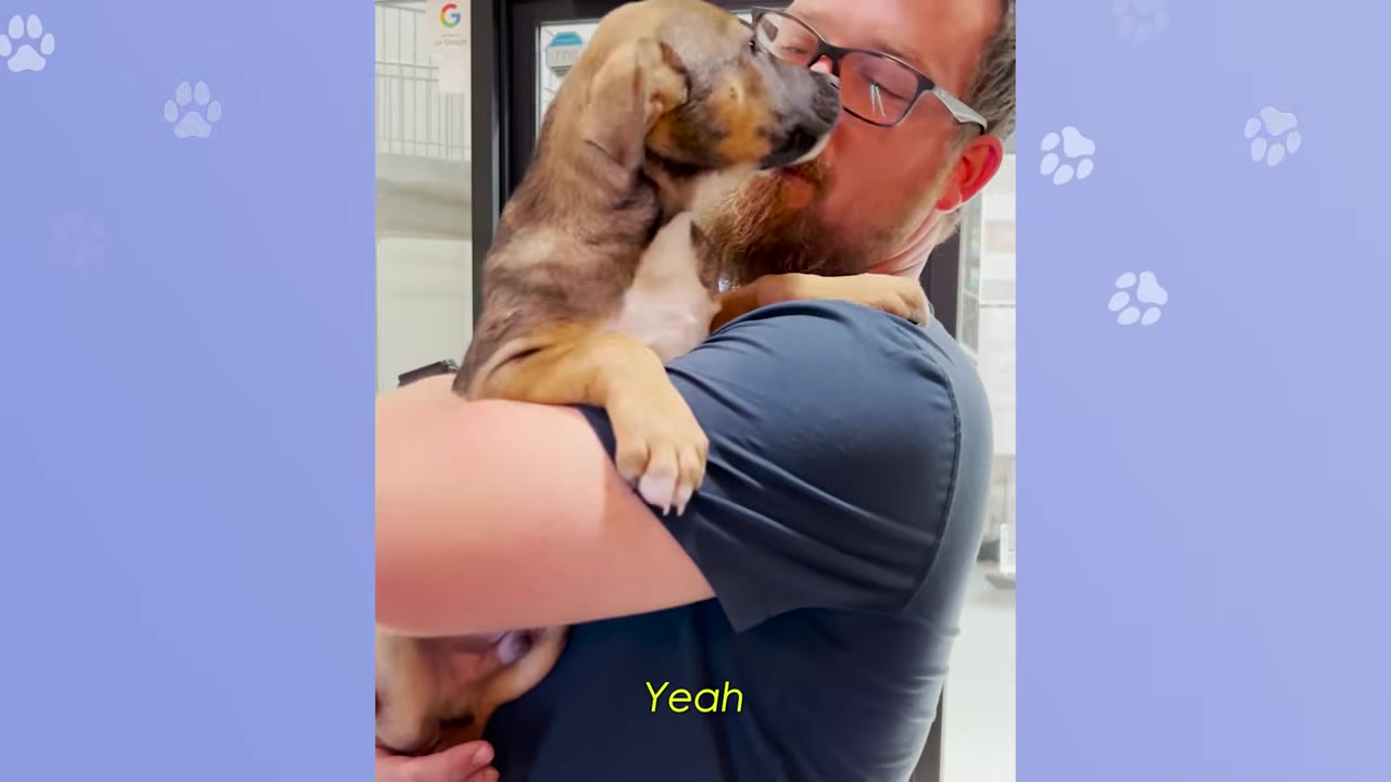 A close-up shot of a man with glasses holding a brown and white puppy in his arms.